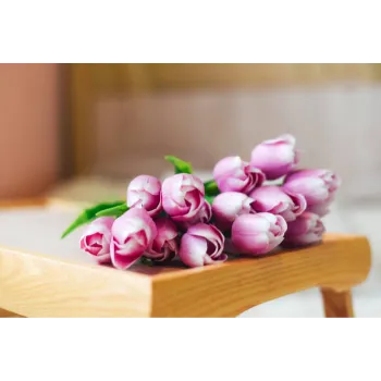 Fresh Cut Flowers